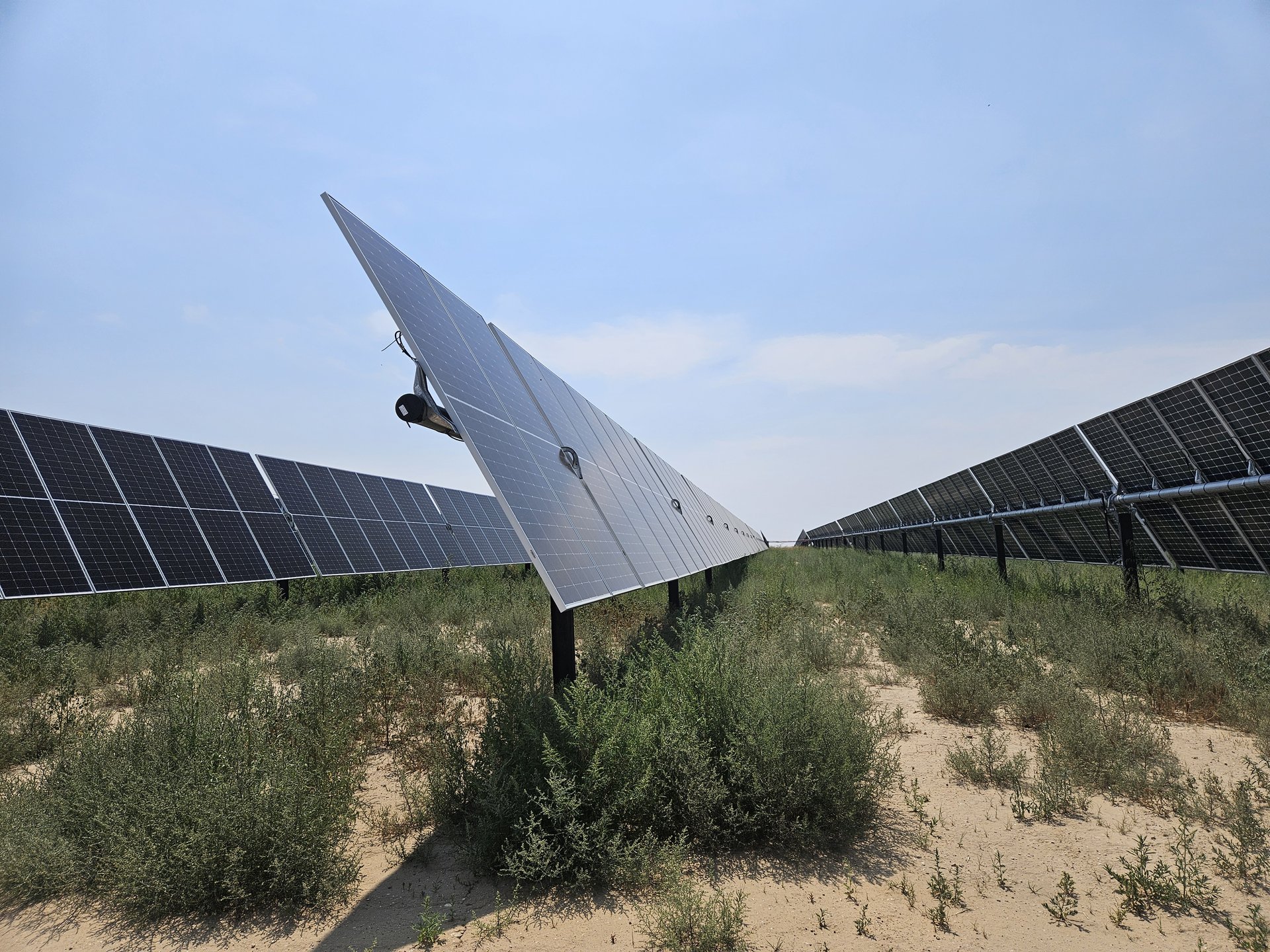 Single-axis tracker community solar array